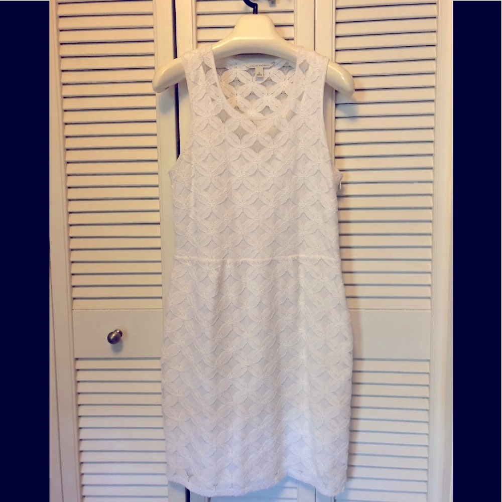 Banana Republic, lace shift dress - Picture 1 of 12